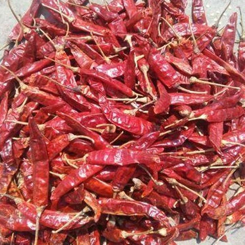 Raw Guntur Dry Red Chilli for Cooking