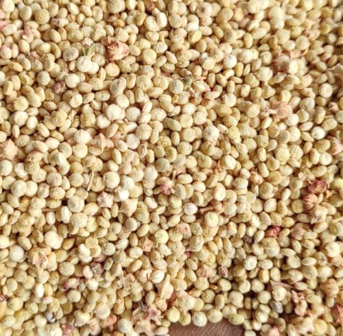 Quinoa Seeds, Style : Dried