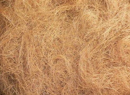 Natural Coconut Coir Fibre, For Industrial, Color : Brown