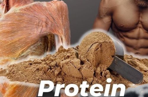 Brown Workout Whey Protein Powder, For Weight Gain, Packaging Type : Plastic Jar