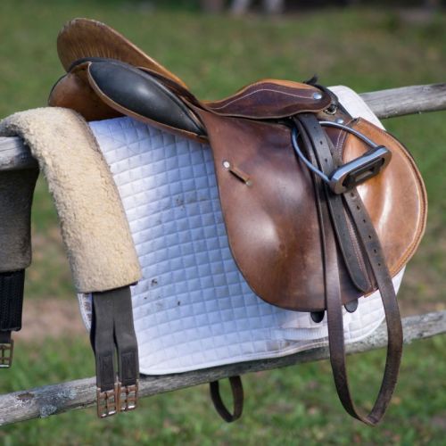 Leather Saddle