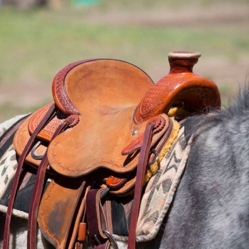 Brown Leather Saddle