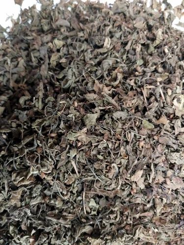 Dried Tulsi Leaves, Packaging Size : 25 Kg