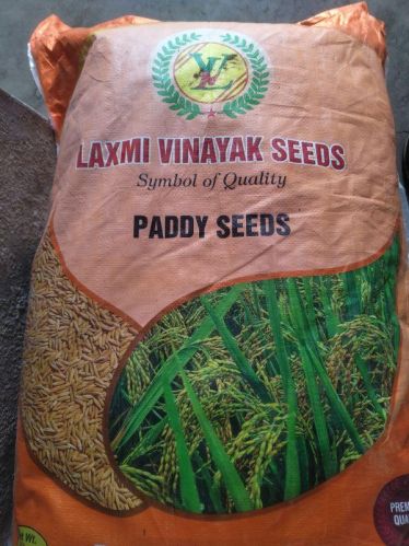 Padmaja Paddy Seed For Agriculture