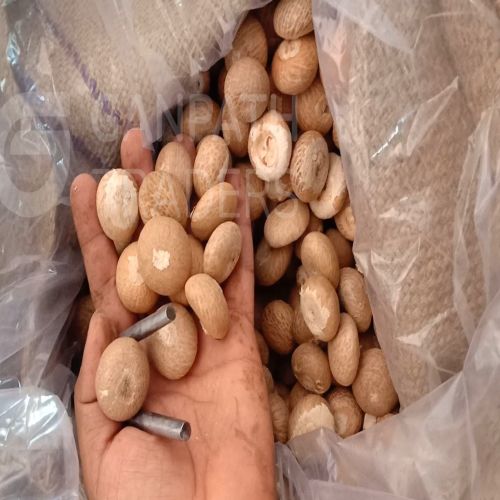 A1 Size Dried Whole Moti Supari For Used Chewing, Stimulating, Traditional Medicine, Rituals