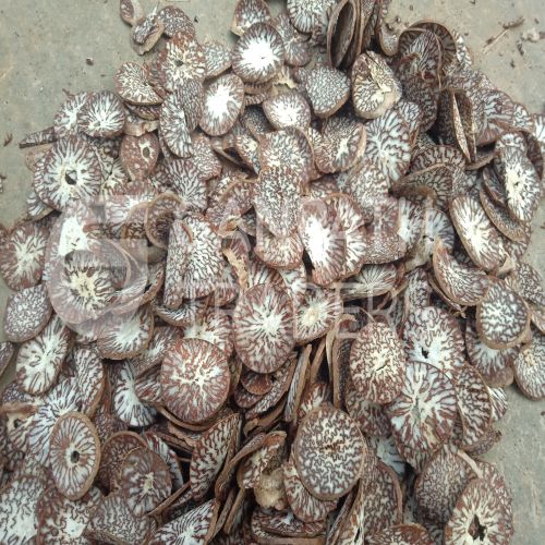 Natural Supari Chips For Used Chewing, Stimulating, Traditional Medicine, Rituals