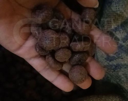 Natural Whole Red Boiled Supari For Used Chewing, Stimulating, Traditional Medicine, Rituals