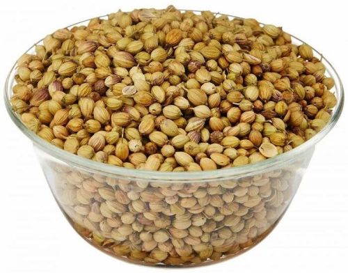 Natural Coriander Seeds, Grade Standard : Food Grade