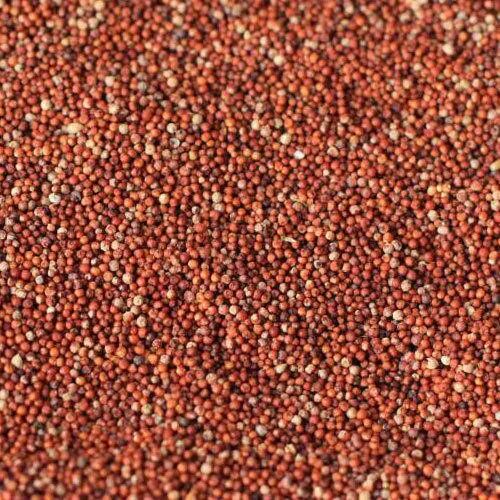 Natural Ragi Seeds, Packaging Size : 30 Kg