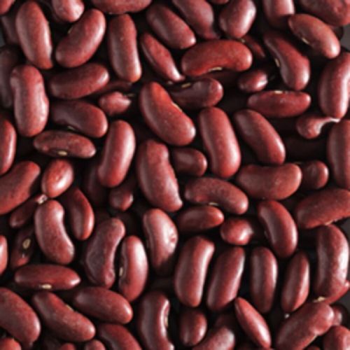 Natural Red Jammu Rajma, For Cooking