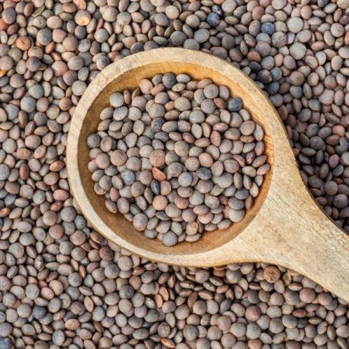 Indian Sabut Kali Masoor Dal, Color : Black, Packaging Size : 30 kg