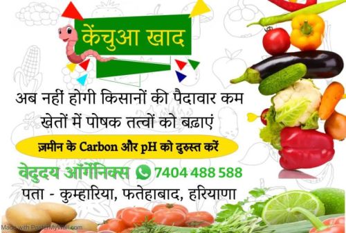 Organic Fertilizer For Agriculture