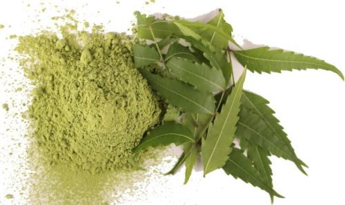 Natural Neem Powder For Medicinal Cosmetic Use