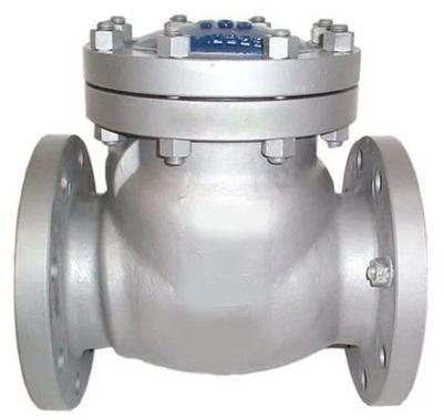 Manual Stainless Steel Check Valve For Water Fitting