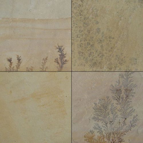 Fossil Mint Sandstone, Color : Yellow