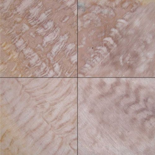 Panther Sandstone, Color : Multicolor