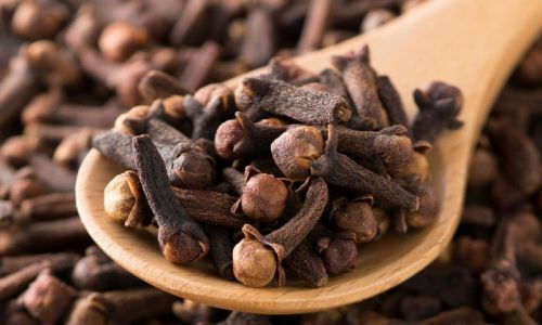 Organic Clove Seeds For Spices