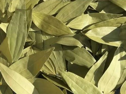 Bay Leaves For Cooking