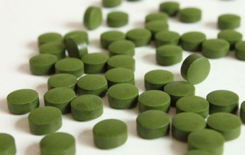 Organic Moringa Leaf Tablets For Medicine