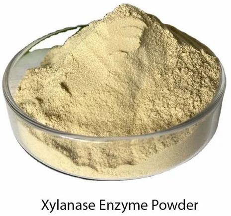 Xylanase Enzyme, Color : Yellow, Packaging Type : PP Bag