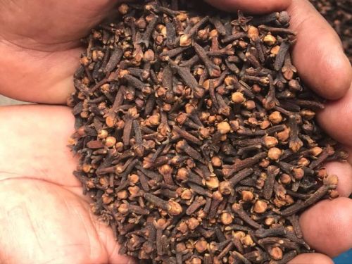 Premium Quality Cloves - Aromatic Spice For Culinary and Medicinal Uses, Bulk Orders Available At Wh