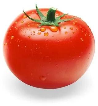 Fresh Tomato For Cooking, Sauces