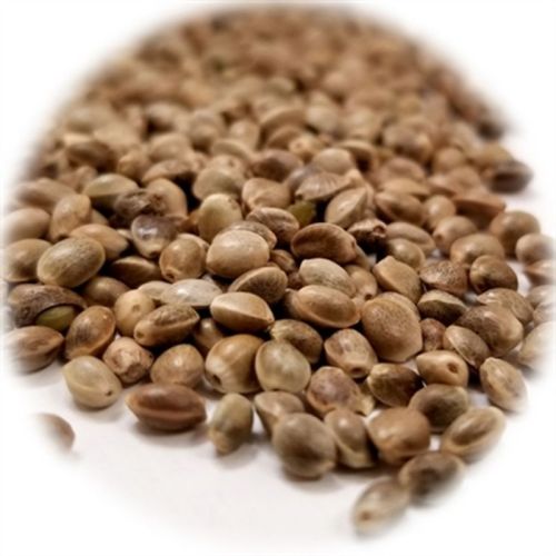 Organic Natural Hulled Hemp Seeds In Bulk