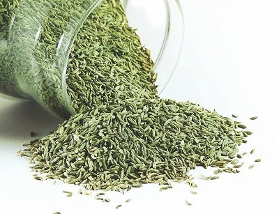 Raw Organic fennel seeds, Form : Solid, Purity : 99%