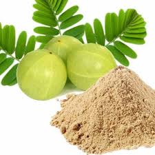 Amla Dry Extract, Grade : Priyam