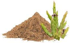 Natural Caralluma Dry Extract, Grade : Priyam