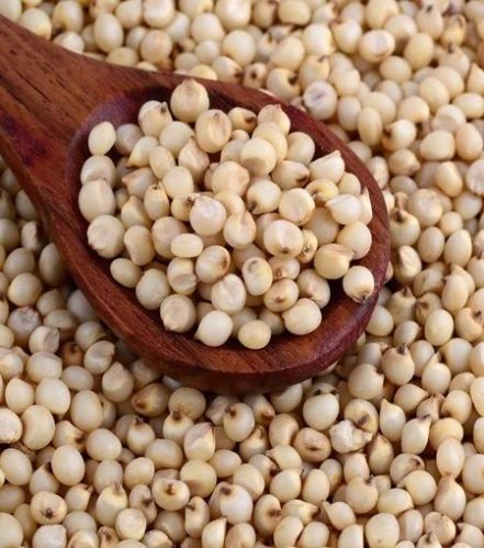Natural Sorghum Millet Seeds For Cooking, Cattle Feed