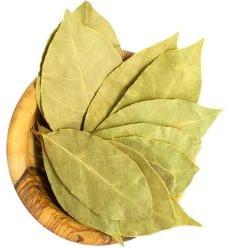 Bay Leaf For Cooking