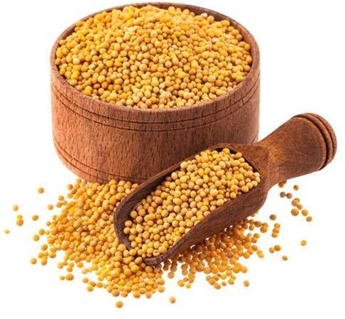 Yellow Mustard Seeds For Cooking