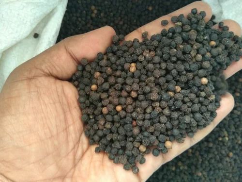 Raw Common Black Pepper, Certification : FSSAI Certified