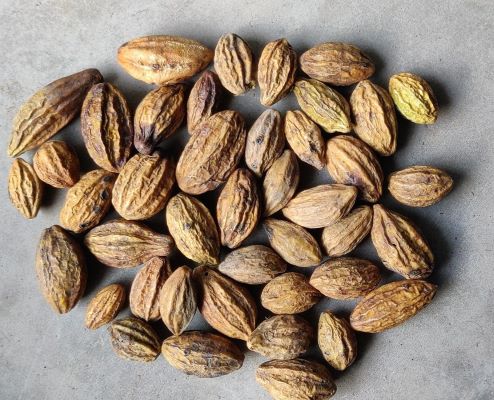 Harra Seeds, Packaging Type : PP Bags