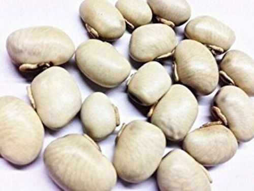 White Kaunch Seeds For Medicinal Purpose