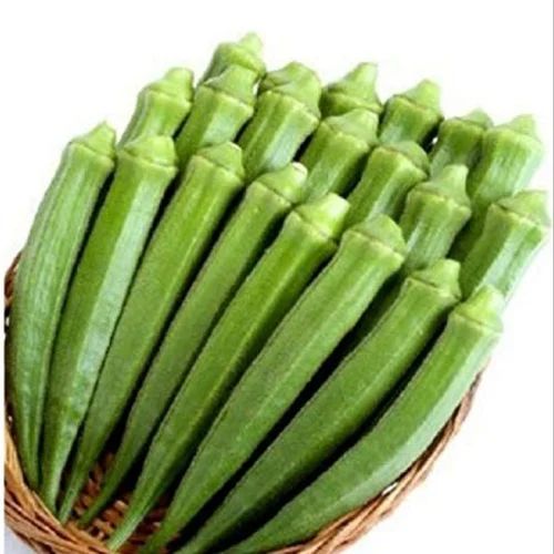 Green Natural Lady Finger, For Cooking, Packaging Type : Gunny Bag