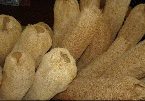 Rectangle Wood Fiber Loofah Sponges, For Bathing, Size : Multisizes