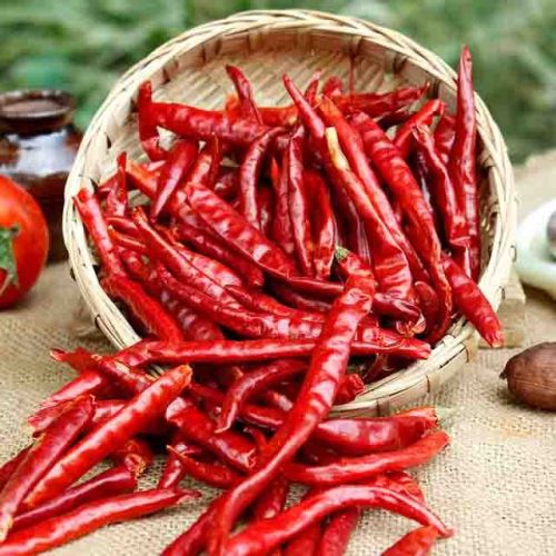 Raw Common Dried Red Chilli For Cooking