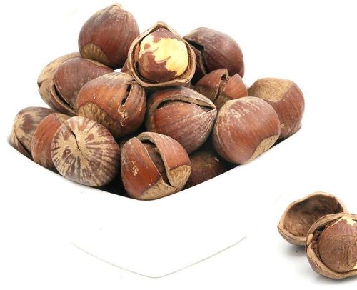 Hazelnut, Packaging Type : Vacuum Pack