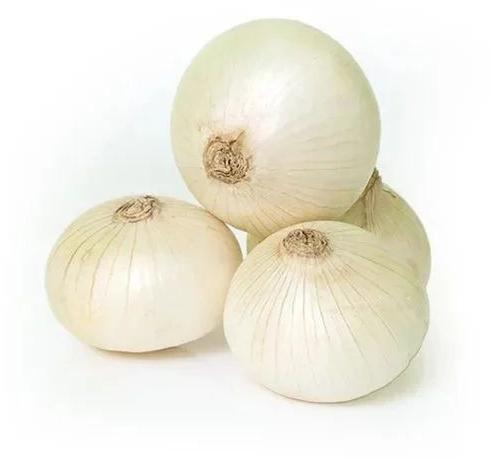 A Grade White Onion, Shelf Life : 15days