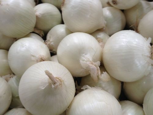 Fresh White Onion, Shelf Life : 15days