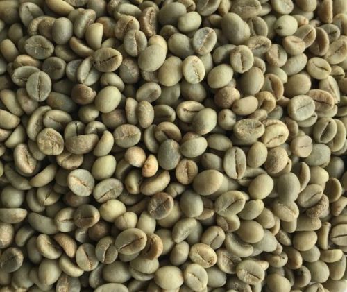 Arabica Bulk Green Coffee Beans For Home, Hotel, Cafe, Etc