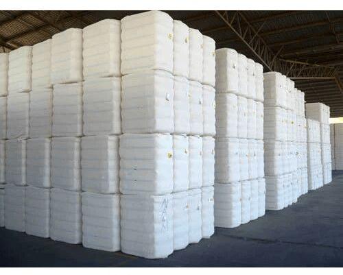 Plain Cotton Bales, Color : White