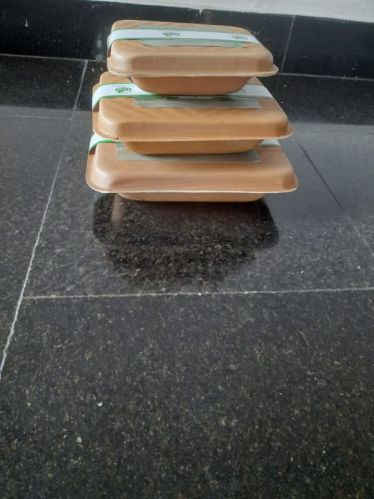 Light Brown Square Areca Leaf Plate Food Containers, For All