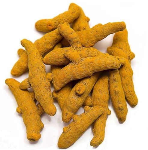 Dried Whole Turmeric, Packaging Type : PP Bags