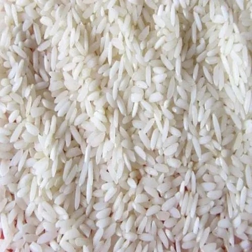 Sona Masoori Raw Non Basmati Rice, Variety : Short Grain