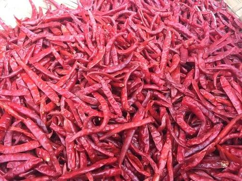 Dired Guntur Red Chilli For Cooking