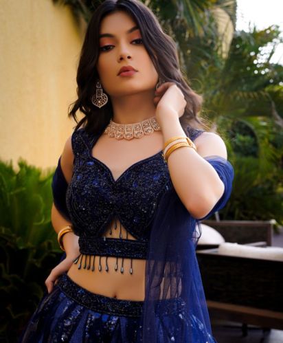 Sm1181 Net Sequins Work Designer Lehenga Choli