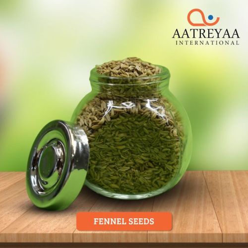 Raw Common Fennel Seeds, Grade Standard : Food Grade